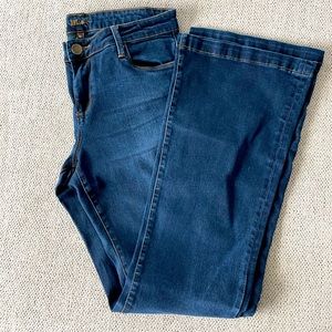 Kut from Kloth Chrissy Flare